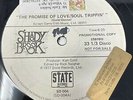 Delegation The Promise Of Love/Soul Trippin' Vinyl Record Funk Soul  Promo