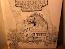 Blackbird Raum - False Weavers Vinyl LP