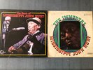 mississippi john hurt vinyl Lp Album Record X2 Double Best Of +immortal Vanguard