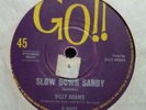 BILLY ADAMS 60’S OZ GO BEAT ROCKER=SLOW DOWN SANDY