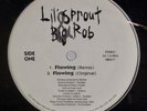 LIL SPROUT & BIG ROB: Flowing SEALED Baltimore Random Rap 12” Vinyl