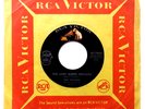 THE TOKENS - The Lion Sleeps Tonight / Tina - Vinyl 7