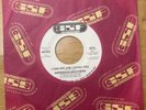 RARE Anderson Brothers I Can See Him Loving You GSF Promo Northern Soul