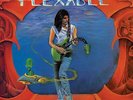 Steve Vai Flex-Able: 36th Anniversary  (Vinyl)