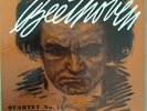 CONCERT HALL CHS 1201-13 BEETHOVEN CPTE STRING QUARTETS PASCAL QT JACQUES DUMONT