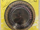 THEY MIGHT BE GIANTS: FLOOD (Ltd.Ed.30th Ann.Picture Disc) Signed autographed