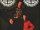 JIMI HENDRIX EXPERIENCE - ARE YOU EXPERIENCED - BRAND NEW 2LP 180G REMASTER 