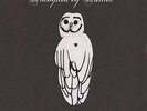 Trampled by Turtles Palomino (Vinyl)