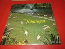 1959-The Flamingos on Checker 1433 (Self Titled) DG