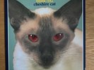 blink-182 Cheshire Cat Red Eyes Vinyl First Press + Inserts GRL-001 NM Condition