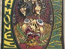 The Ramones Acid Eaters Vinyl Lp 1993 Punk Record RARE EX / NM CONDITION