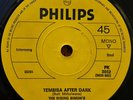 THE RISING SIMONS - TEMBISA -  PSYCHE / GARAGE - INSTRUMENTAL - SA - DEADSTOCK