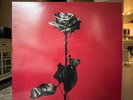 BLACKBEAR DEADROSES RED MARBLE VINYL (USED VG+)