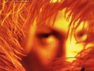 Stone Temple Pilots - Shangri-La Dee Da - (NEW VINYL LP)