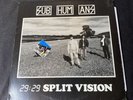 Blue Subhumans 29:29/Split Vision Vinyl LP Record uk punk W/ Poster Tested 2008