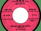 REVALONS Dreams Are for Fools / This Is the Moment 45rpm Pet '58 rare pink label