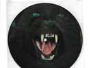 David Bowie- Cat People **US Promo 7