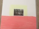 the mountain goats come, come to the sunset tree vinyl 386/1000 hand painted