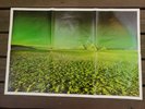 Pink Floyd POSTER Only Dark Side of the Moon 1973 Original Green Pyramids