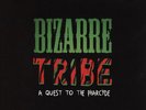 A Tribe Called Quest Vs. The Pharcyde - Bizar (Vinyl 2LP - 2012 - US - Original)
