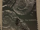 The Sundays Reading, Writing, And Arithmetic Sealed Record Store Day RSD 2018