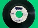 Vilas Craig and the Vi Counts - 45 rpm - LITTLE MISS MARY / YOU KNOW HOW J-2120