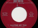 very rare THE NEW BREED Wasting My Time garage Polaris 45 Worcester, MA 1966