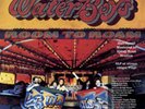 The Waterboys - Room to Roam -Half Speed Master - Vinyl 2LP