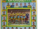 BRASIL NA COPA DO MUNDO BRAZIL 1958 LP WORLD CUP PELE GARRINCHA ZAGALLO VAVA