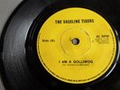 RARE VASELINE TIGERS I AM A GOLLI PRIVATE 1980 UK DIY SYNTH / PUNK  EXCELLENT
