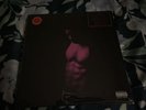 Kid Cudi: Passion, Pain, Demon, Slayin’- Limited Edition Vinyl