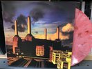 Pink Floyd Animals Led Zeppelin Yes Moody Blues King crimson Gilmour ￼Zappa
