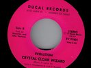 EVOLUTION-Crystal Cloak Wizard 45 Heavy Rock (Ducal) 1981