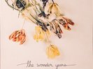 The Wonder Years - Burst & Decay (An Acoustic EP) (12