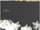 Hope Sandoval & The Warm Inventions Bavarian Fruit Bread Rough Trade Vinyl LP