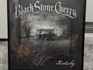 Black Stone Cherry Kentucky Vinyl Signed Framed New