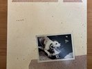 Fleetwood Mac. Tusk. 2 LP Vinyl. Excellent Condition (2012 REMASTERED)