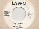 GARAGE ROCKER / LINK WRAY -- DIAL TONES -- SO YOUNG / CHICAGO BIRD