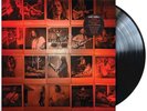 Chris Cornell: No One Sings Like You Anymore Vinyl LP. Soundgarden. Higher Truth