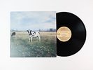 The Screaming Abdabs - The Dark Side Of The Moo Pink Floyd  LP
