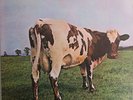 Pink Floyd Atom Heart Mother MINT Japan pressing 12'' vinyl Lp 1970 rare