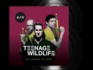 ASH - Teenage Wildlife: 25 Years Of Ash (2LP Set) - LP