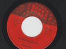GARAGE PSYCH bw INSTRO 45 RAVENS - REACHING FOR THE SUN -HEAR -1966 FLORIDA BOSS