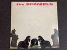The SPANIELS self titled ( doo wop ) vee jay 1024 1960 lp vinyl mono
