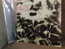 Kapitan Korsakov Well Hunger 2LP Green Vinyl 2016