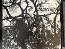 Jeffery Liberman Synergy OG LP 1978 on Librah Psych Rock Jazz Funk Acid Archives