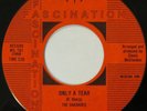 SHARADES Only A Tear FASCINATION 45 sweet soul garage Terry Lee Pittsburgh 7”