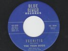 GARAGE GIRLS 45 bw BEATLES ANSWER - TEEN BUGS - TEENITIS - HEAR 1964 BLUE RIVER