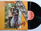 GAYLADS Understanding REGGAE ROOTS BALLISTIC LP