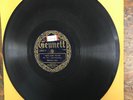 WOLVERINE ORCHESTRA I Need Some Pettin' GENNETT 20062 V+ 78 RPM Shellac USED